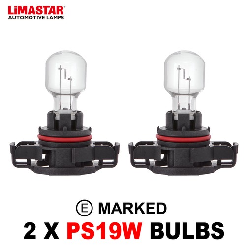 Light bulb single ps19w 12v - bulb,